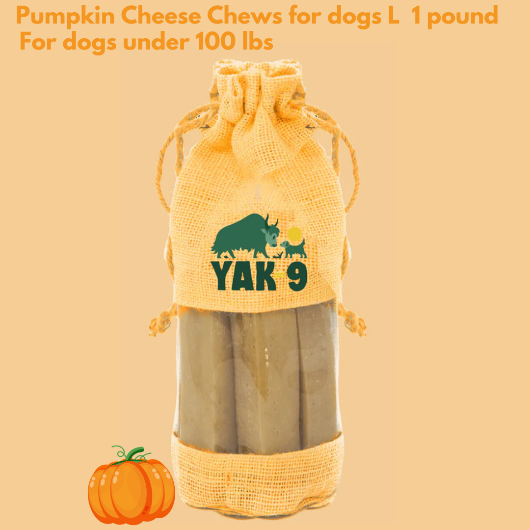 Yak 9 Pumpkin Chews Large Dogs 1 lbs - 2 pieces